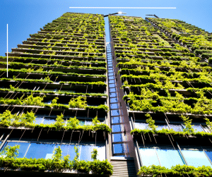 Copy of Copy of Green wall on an apartment building