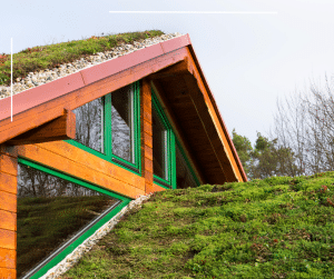 Copy of Green wall on an apartment building