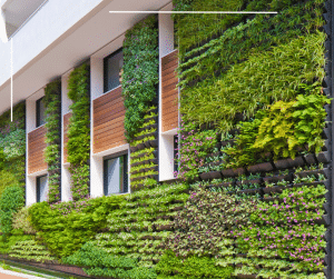 Green wall on an apartment building